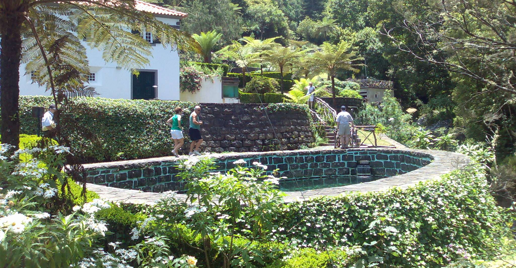 Von Funchal, Pico Areiro & A-gerahmte Häuser Tour - Hizvo