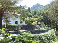 Von Funchal, Pico Areiro & A-gerahmte Häuser Tour - Hizvo