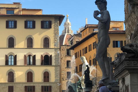 Florence: visite de la ville RenaissanceOption standard