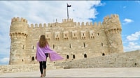 Alexandria, Library, Amphitheater & Citadel Tour - Housity