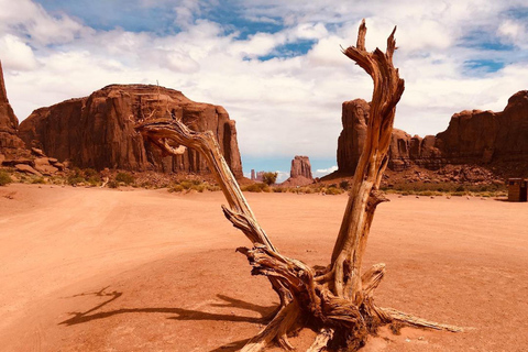 Monument Valley: tour di 3 ore all'alba con guida Navajo
