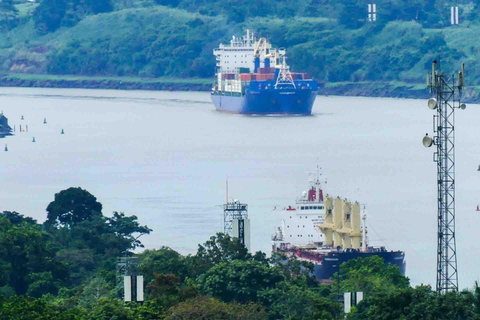 Panamá: Excursión en Tirolina por la Isla de los Monos y la Selva Tropical de Gamboa