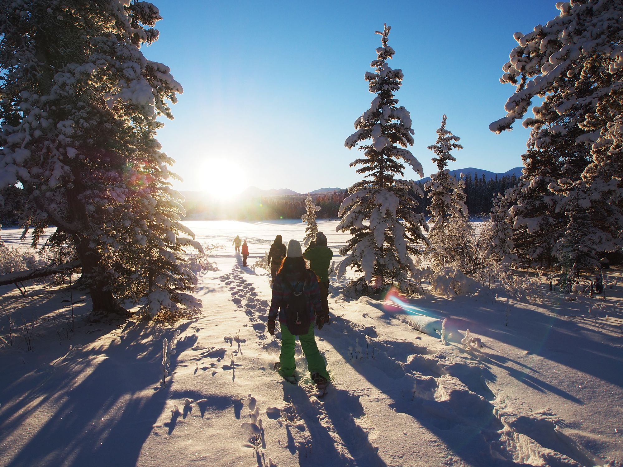 Whitehorse: Halbtagestour mit Schneeschuhen