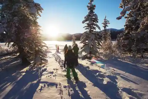 Whitehorse: Excursão de meio dia com raquetes de neve