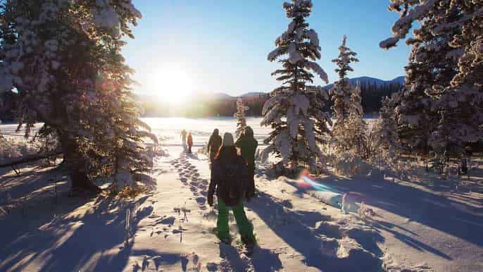 whitehorse halfday snowshoeing tour