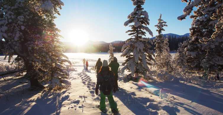 Whitehorse Half Day Snowshoeing Tour GetYourGuide