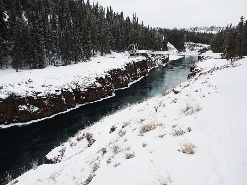 Whitehorse: Tour Con Racchette Da Neve Di Mezza Giornata | GetYourGuide