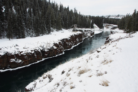 Whitehorse: Half-Day Snowshoeing Tour