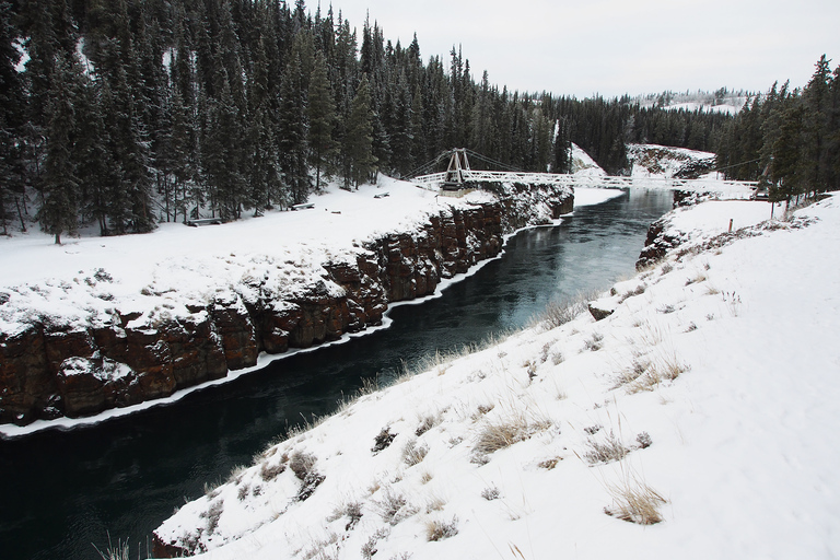 Whitehorse: Half-Day Snowshoeing Tour