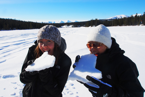 Whitehorse: Half-Day Snowshoeing Tour