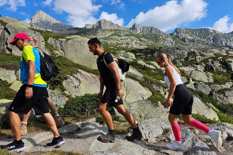 Luzern: Onvergetelijke Zwitserse Alpen Wandeling+ZwemmenGezamenlijke groepswandeling