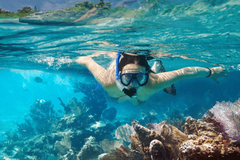 Nusa Penida: Increíble excursión en barco con guía para bucear con MantaExcursión de snorkel a peces y corales de colores