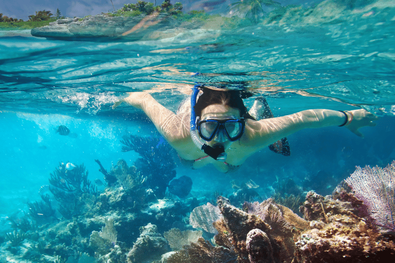 Nusa Penida: Increíble excursión en barco con guía para bucear con MantaExcursión de snorkel a peces y corales de colores