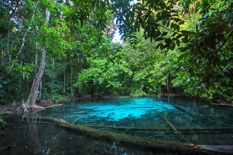 Krabi: Full-Day Jungle Cycling and Emerald Pool Tour