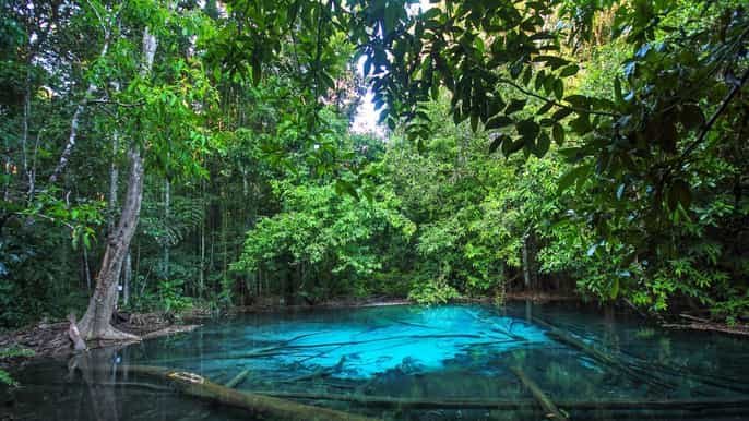 krabi balade à vélo dans la jungle et emerald pool