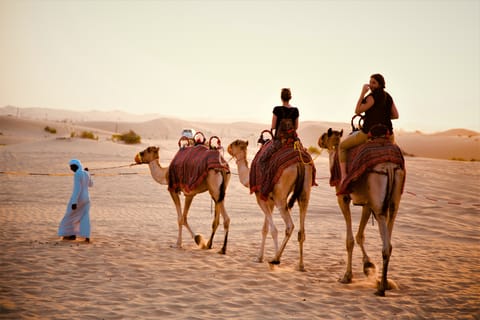 From Abu Dhabi: 4-Hour Morning Desert Excursion