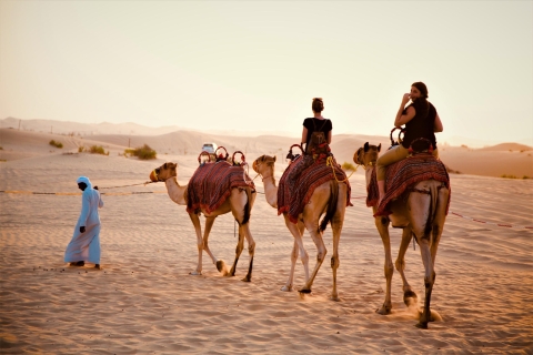 Au départ d'Abu Dhabi : Excursion matinale de 4 heures dans le désertVisite privée