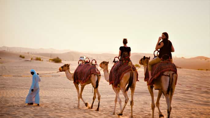 from abu dhabi 4hour morning desert excursion