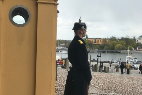 Stockholm: begeleide sightseeingtour van een hele dag met lunch