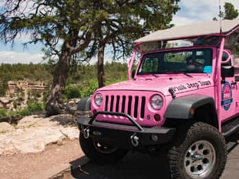Ab Sedona: Erlebnistour im Grand Canyon mit Luxus-Sprinter Ab Sedona: Erlebnistour im Grand Canyon mit Luxus-Sprinter