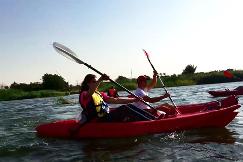 Le Caire: Kayak sur le NilKayak sur le Nil