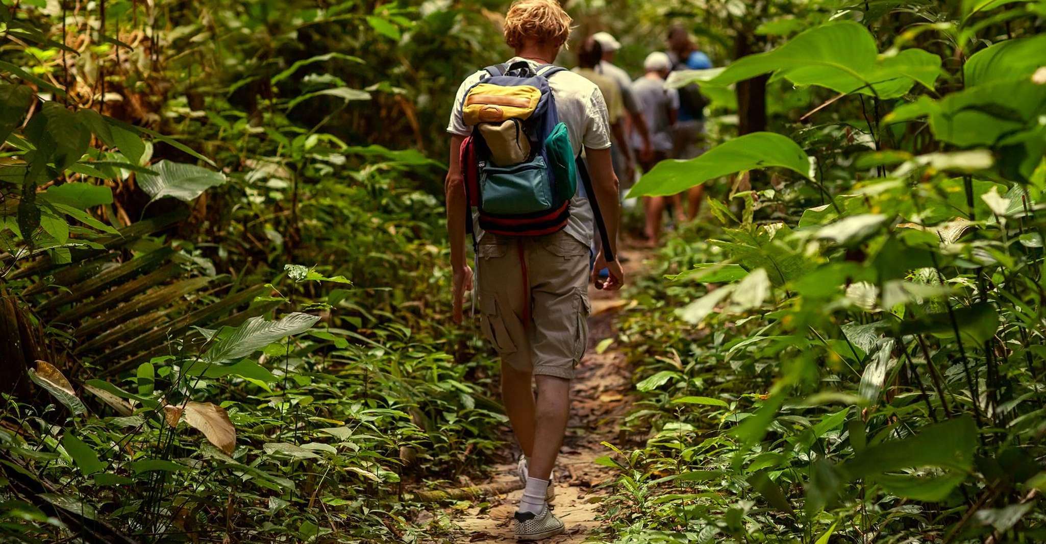 Rainforest Hike and Beach - Housity