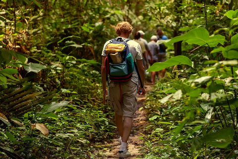 Aventura na floresta tropical