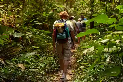 Rainforest Hike with Windfield Estate & Romney Manner Tour