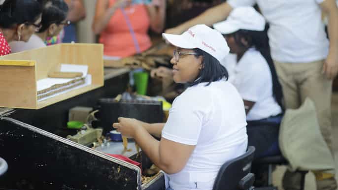 la romana vegafina cigar factory tour