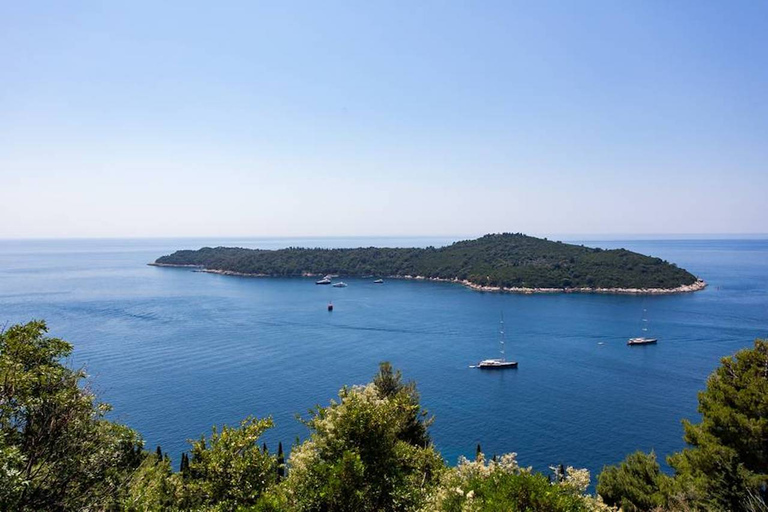 Dubrovnik: Hop-on Hop-off-buss för sightseeingDubrovnik: Hop-on-hop-off-sightseeing med buss