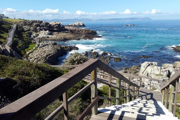 Au départ du Cap : 4 jours d'excursion de luxe sur la Route des jardins