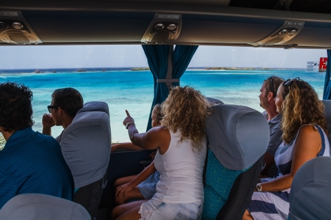 Aruba: 3-stündige geführte Inselrundfahrt