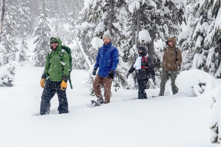 Bend: Halbtägige Schneeschuhtour in der Cascade Mountain Range