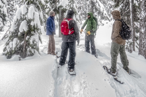 Bend: Halbtägige Schneeschuhtour in der Cascade Mountain Range