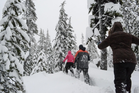 Zakręt: półdniowa wycieczka na rakietach śnieżnych w paśmie górskim Cascade