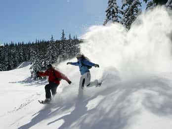 Kurve: Halbtägige Schneeschuhtour in der Cascade-Bergkette Kurve: Halbtägige Schneeschuhtour in der Cascade-Bergkette