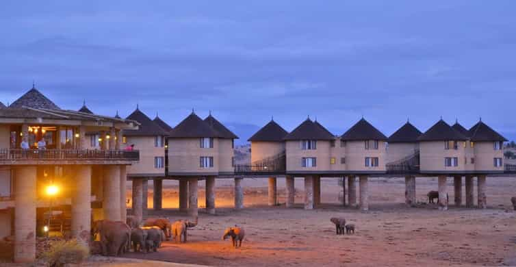 Tsavo East Salt Lick Lodge Safari Day Tour Getyourguide