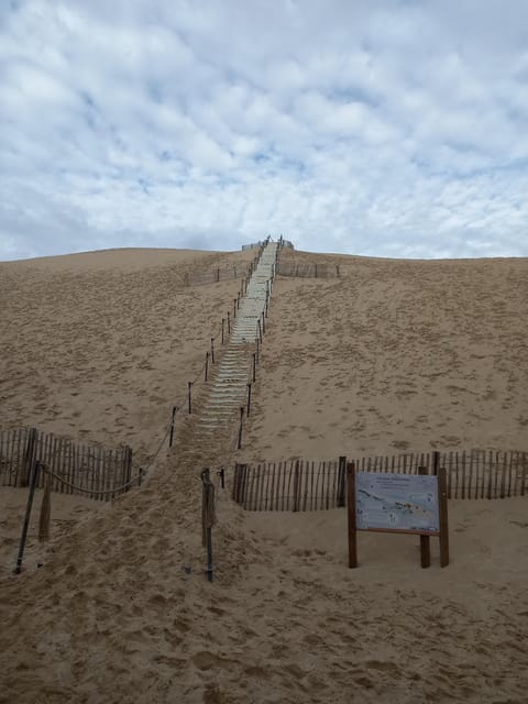 Dune Du Pilat En Oesters Proeven Wat Nog Meer Getyourguide