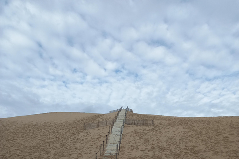 Dune du Pilat i degustacja ostryg! Co jeszcze?Degustacja Dune du Pilat i ostryg! Co jeszcze ?