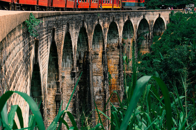 Ella: De Pekoe Trail Etappe 16 - Ella naar DemodaraHet Pekoe pad etappe 16