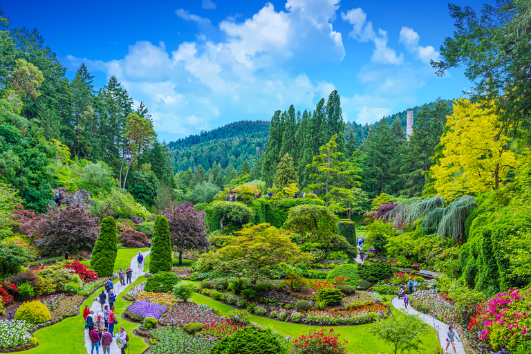 Depuis Vancouver : Excursion d'une journée à Victoria et aux jardins ButchartDepuis Vancouver : Victoria et jardins Butchart