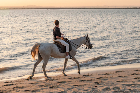 Horseback Riding On The Beach At Sunset