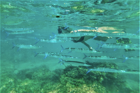 Santa Lucía Aventura de snorkel en Cabo Vidal