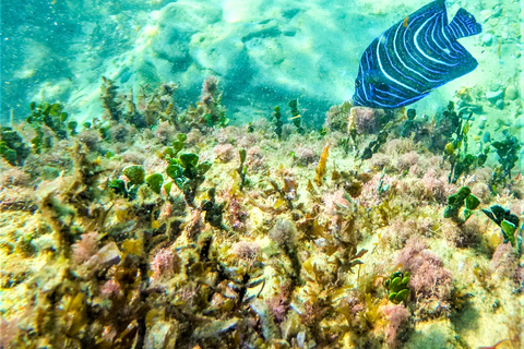 Santa Lúcia: aventura de mergulho com snorkel no Cabo Vidal