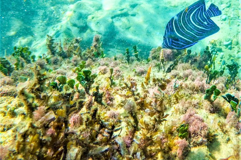 Santa Lucia: avventura di snorkeling a Cape Vidal