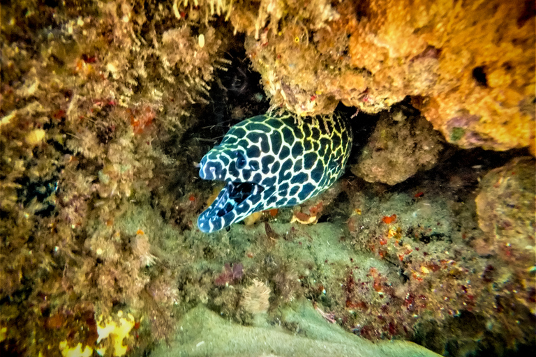 St. Lucia: Schnorchelabenteuer in Cape Vidal