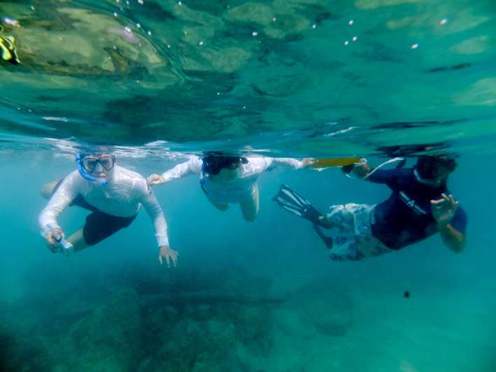 St. Lucia: Cape Vidal snorkleeventyr | GetYourGuide