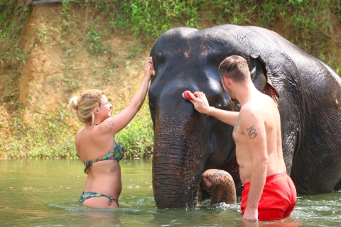 Khao Sok: dagtrip bamboeraften en olifanten wassenDagtour bamboeraften en olifanten wassen privé