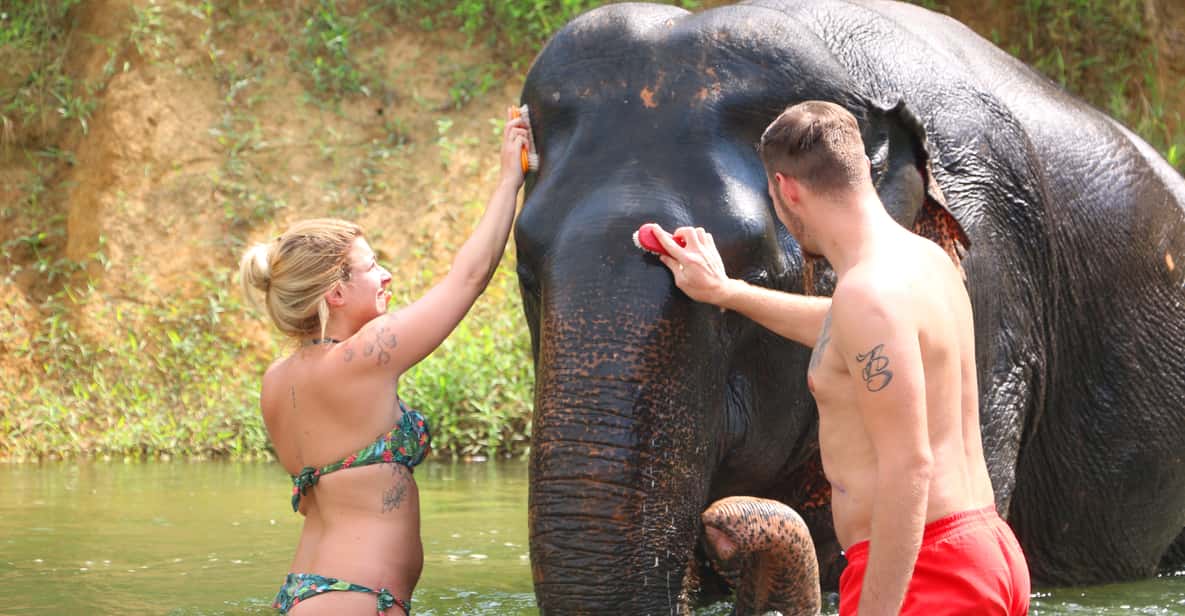 Khao Sok: Full-Day Bamboo Rafting and Elephant Bathing