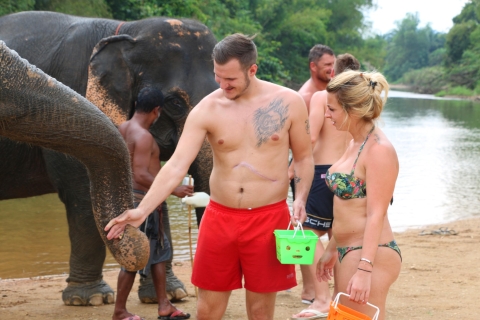 Khao Sok: 1 día de bambú rafting y baño con elefantesExcursión de un día de bambú rafting y baño con elefantes
